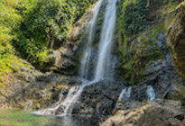 Untamed Jungle and Waterfall Enjoying