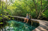 Explore the Great Mangrove Forest Explore the Great Mangrove Forest