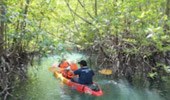 James Bond 007 Island - Kayaking in Sea Cave