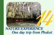 Nature Experience One day trip from Phuket