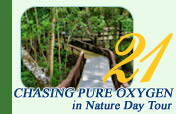 Chasing Pure Oxygen in Nature Day Tour from Phuket