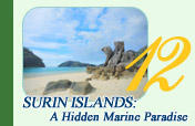 Surin Islands: A Hidden Marine Paradise