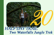 Two Waterfalls Jungle Trek Private Half Day Trail