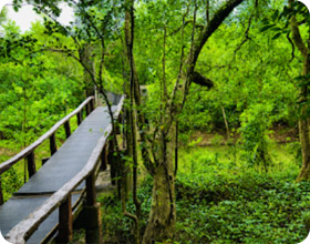 Chasing Pure Oxygen in Nature Day Tour from Phuket