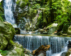 Two Waterfalls Jungle Trek Private Half Day Trail