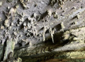 Ancient Human Habitat