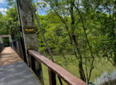 Mangrove Forest Trail