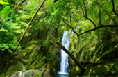 Waterfall-to-Waterfall Trek