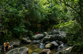 Waterfall-to-Waterfall Trek