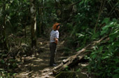 Waterfall-to-Waterfall Trek