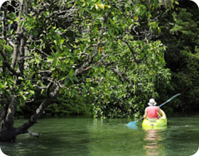 Kayaking in Talen Bay