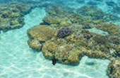 Koh Chan and Koh Thai Thri