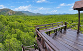 Pranburi Forest Park