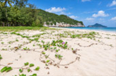 Laem Sala Beach