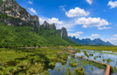 The Lotus Wetlands