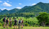 Kui Buri Wildlife Safari