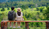 Kui Buri Wildlife Safari