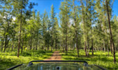Kui Buri Wildlife Safari