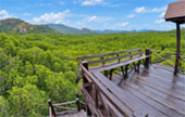 Pranburi Forest Park