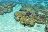 Koh Chan and Koh Thai Thri