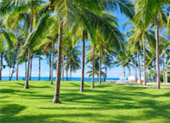 Nishaville Resort