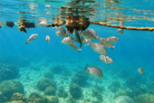 Koh Talu, Koh Sing, and Koh Sang