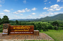 Kui Buri Wildlife Safari