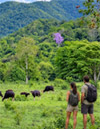 Huai Luek Ranger Station