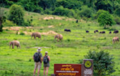 Huai Luek Ranger Station