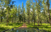 Huai Luek Ranger Station