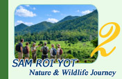 Sam Roi Yot Nature and Wildlife Journey