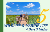 Wildlife and Marine Life 4 Days 3 Nights