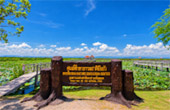 Sam Roi Yot Lotus Wetlands