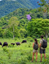 Wildlife watching in Kui Buri