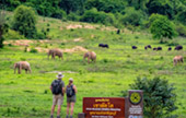 Wildlife watching in Kui Buri