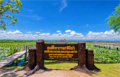 Lotus Wetlands Lotus Wetlands