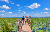 Lotus Wetlands Lotus Wetlands