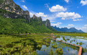 Lotus Wetlands Lotus Wetlands