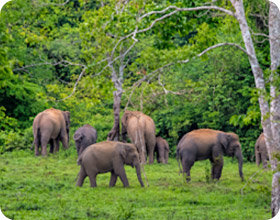 Sam Roi Yot Nature and Wildlife Journey Sam Roi Yot Nature and Wildlife Journey