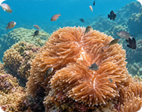 Wildlife and Marine Life 4 Days 3 Nights Wildlife and Marine Life 4 Days 3 Nights