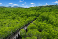 Pranburi Forest Park