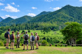 Kui Buri Wildlife Safari