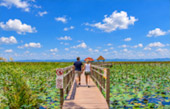 The Lotus Wetlands of Sam Roi Yot