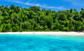 Private Island Escape at Ale Island