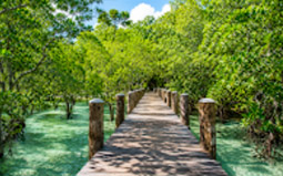 The only exclusive resort on Wa Ale Island