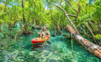 Authentic Nature Activities on the Island