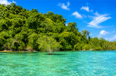 Snorkeling and Beach Activities