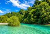 Relax, Swim and Beach Snorkeling