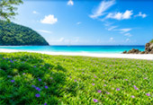 Relax, Swim and Beach Snorkeling