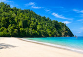 Relax, Swim and Beach Snorkeling
